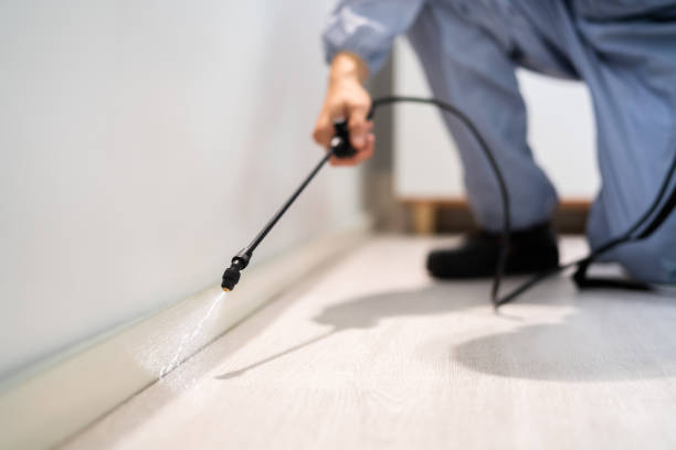 Certified termite inspector examining foundation in Holbrook